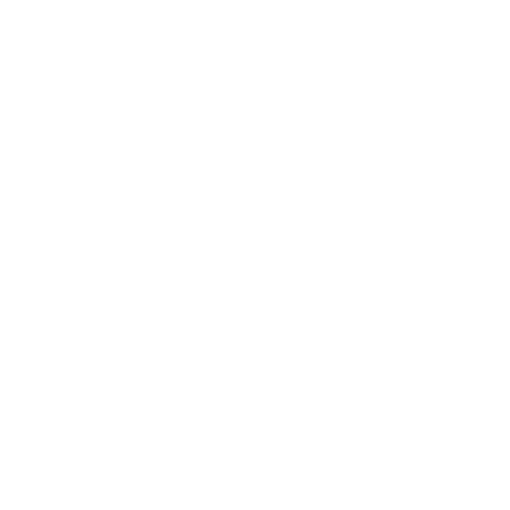 Noor Isamaa logo